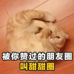  让自己走在潮流前端的土味情话撩人表情包