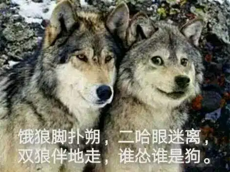  你为什么不嫌弃渣像素表情包
