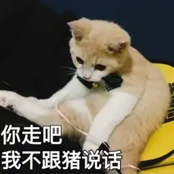 可买猫咪的表情包斗图专用