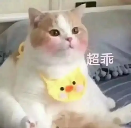  不藏了,摊牌了,其实我拥有超能力