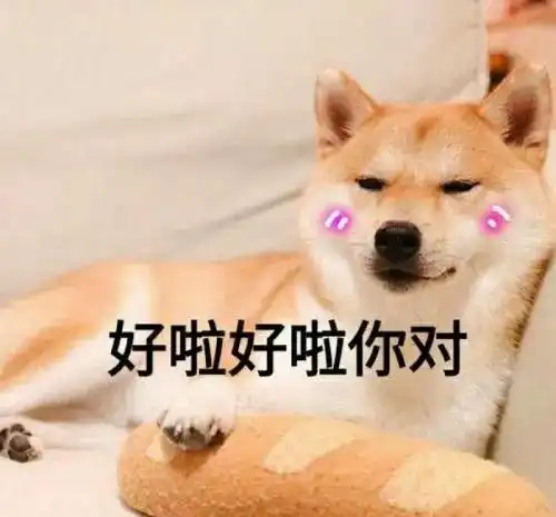 我就是这么叼表情包狗子