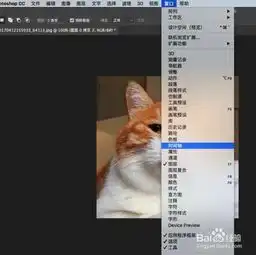  怎么用ps做动态表情