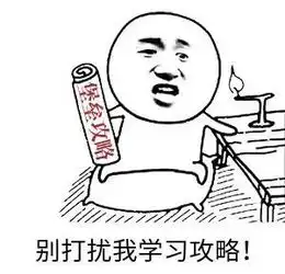  堡垒前线诗情画意月色棕榈,被忽视的顶尖资源点