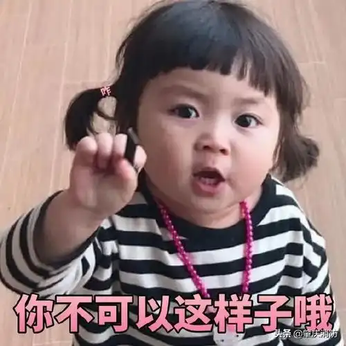  肇肇的云旅行社开团啦