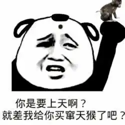  熊猫头怼人表情包你妈是为了阻止你谈恋爱才给了你这张脸