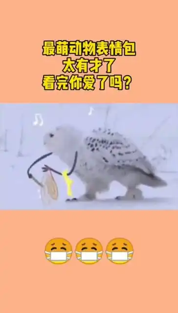  最萌动物表情包,太有才了,看完你爱了吗