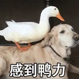  985高校教授博士们,过年回家能不能别装