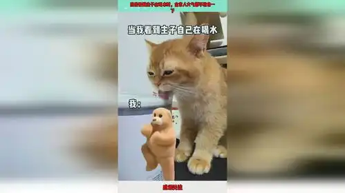  当我看到主子在喝水时,全家人大气都不敢喘一下