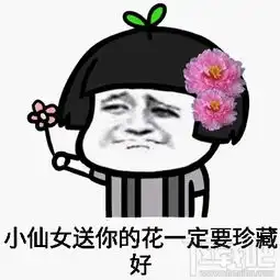  我是小仙女不能贪恋凡尘我是小仙女表情包