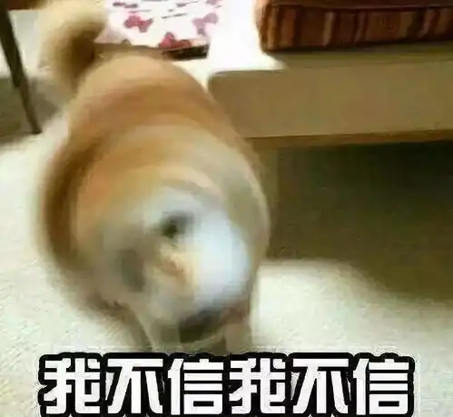 冲不动了的表情包温泉乐