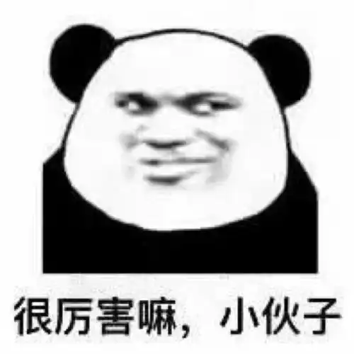  可爱熊猫头此处应有表情包
