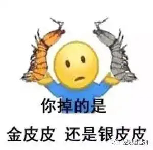  整个朋友圈都在骑皮皮虾它很累了你知道吗