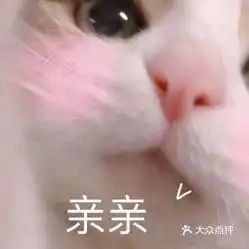  电话,地址,价格,营业时间图