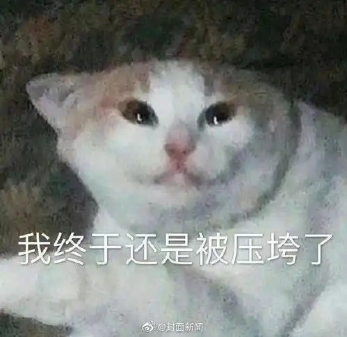  本人12月20日周一工作日报真的是忙碌的星期一