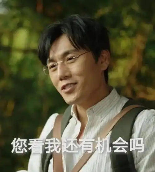  隐秘的角落表情包大全
