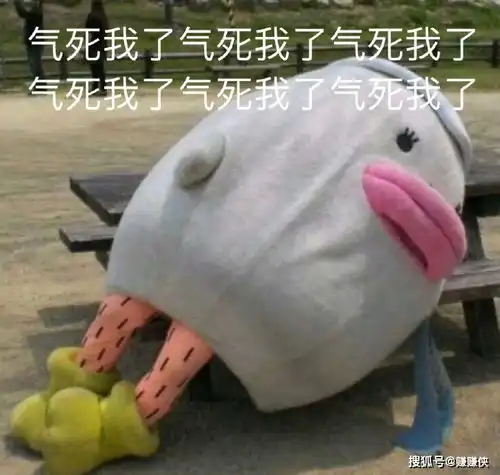  搞笑表情包图片红包转账成功