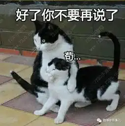 重锤火花图片表情包猫咪