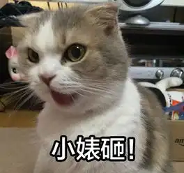  她是人肉美颜相机烂片太多都怪外星人