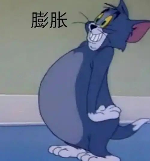  我的收藏