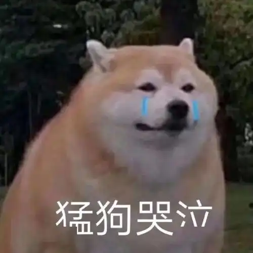  表情包杂集猛狗哭泣