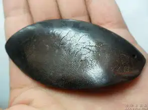  保真包老犀.牛.角树叶项坠