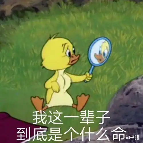 抢购信息表情包文案