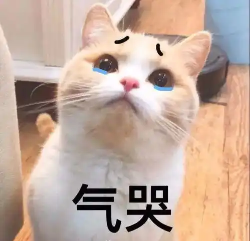  好气,也要保持微笑第205期喵表情