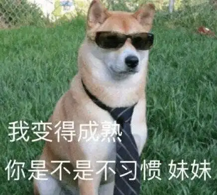  本大基数女孩终于决定开帖记录减肥惹