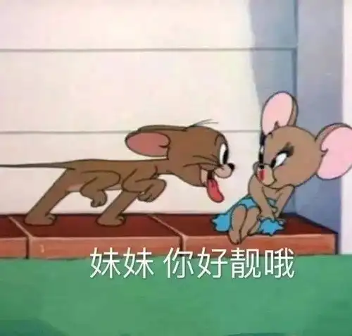  金晨在美女堆里也熠熠发光的秘诀在于她没有死角啊