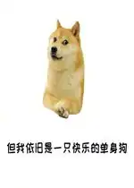 单身狗证表情包狗粮