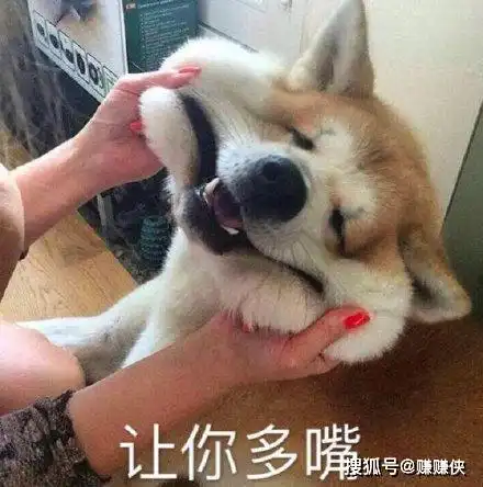 表情包上分的事就交给你了,拜托轻一点哦