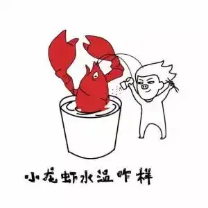  你绝对想不到的加拿大奇葩大学课程,真的存在
