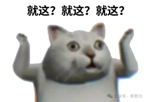 表情包抖音猫叫