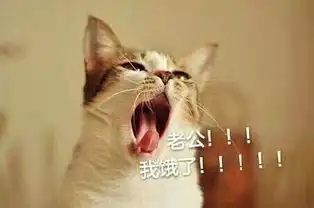  老公你在哪表情包