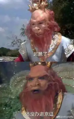 龙王的表情包暴雨预警