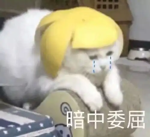  来一组可爱的表情包哦天呐,什么情况