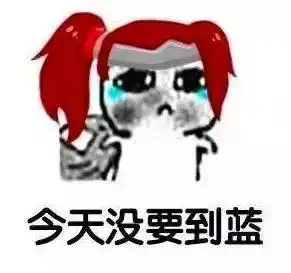 饭来表情包骑士勋章