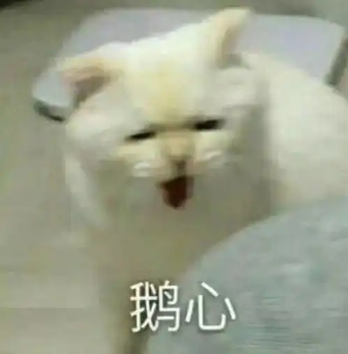  平价替代真能替代大牌对不起,我不信