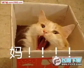  叫妈表情包图片下载叫妈表情包全套无水印版下载飞翔下载