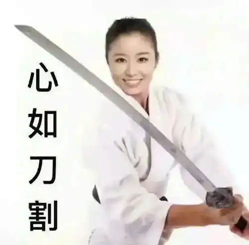 泰山陨石坠表情包李健仁