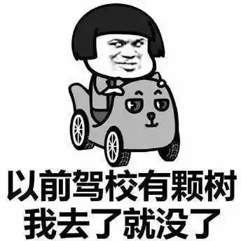  喂我的车被偷了株洲司机绝望报警,事实