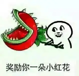  广西男子在南极拍下神秘极光,听说看到的人都会