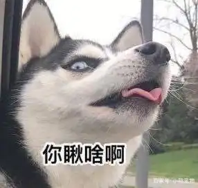  娃娃机里出现仓鼠,瞬间被挤满了人这营销手段真残忍