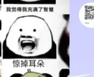  寻找熊猫表情包