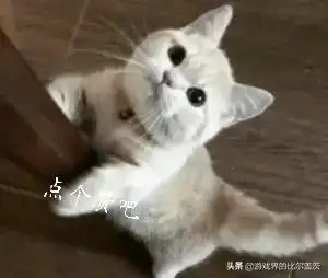  论辅助在高端局的重要性辅助作用大吗