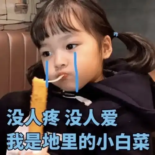  简历上211的学历还不如一个项目经历