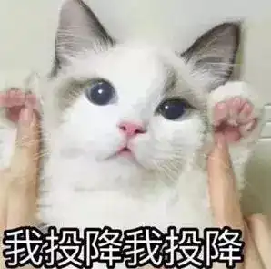  差点儿没考上的我....有些不得不说的秘密,今天必须要告诉你