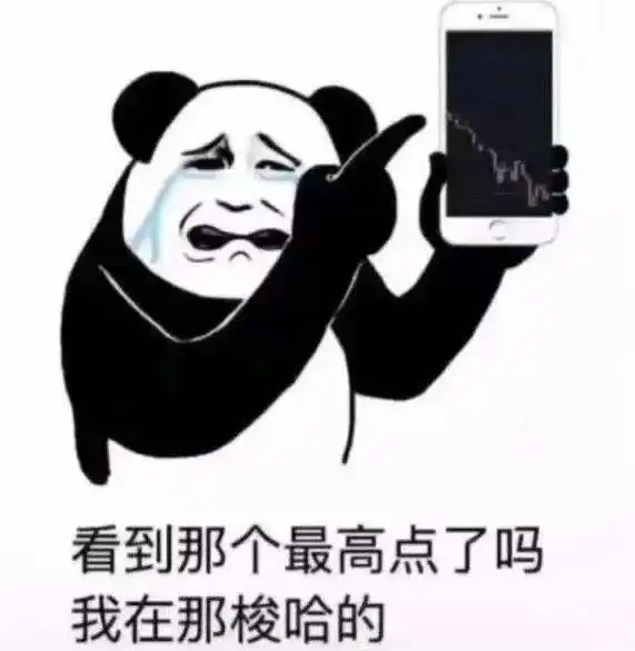  我炒基金回来了