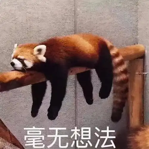  大幂幂为什么叫大幂幂好身材呼之欲出