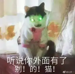 可爱猫咪表情包斗图专用